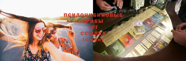 ПСИЛОЦИБИНОВЫЕ ГРИБЫ Алексеевка