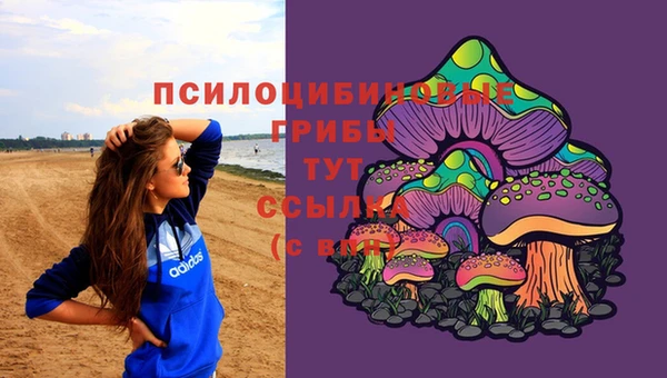 бутират Аркадак