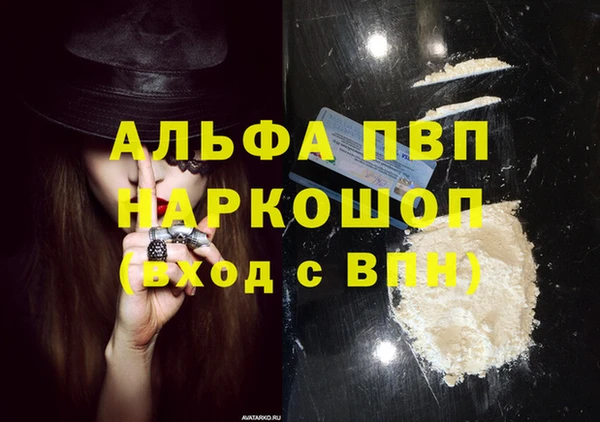 винт Алексин