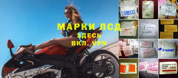 стафф Алзамай