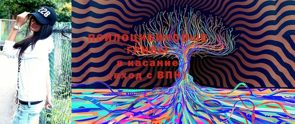стафф Алзамай